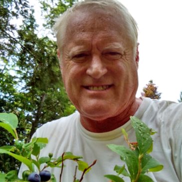 Huckleberry last hunt 7/11/15